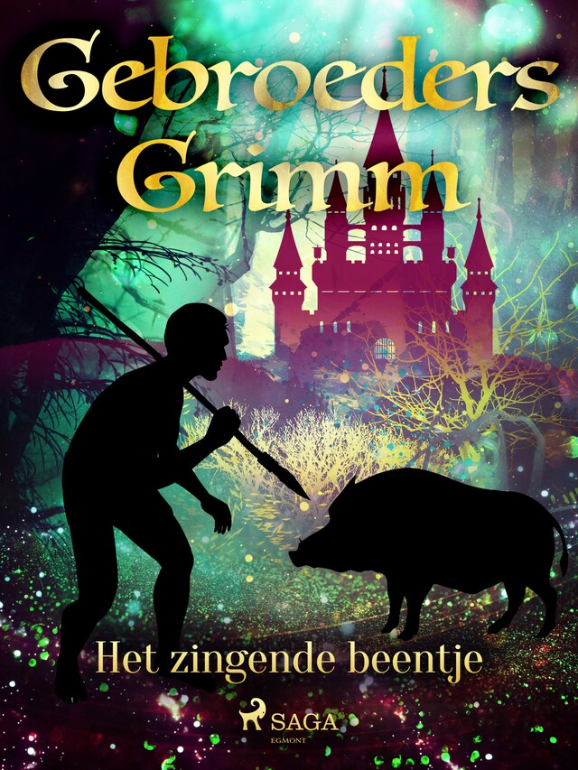 Book cover for Het zingende beentje