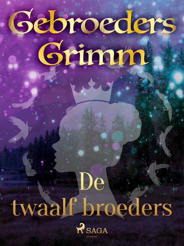 Book cover for De twaalf broeders