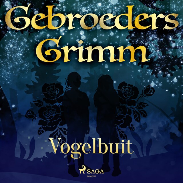Book cover for Vogelbuit