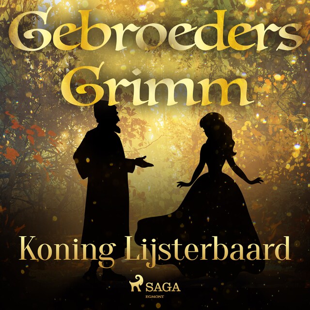 Book cover for Koning Lijsterbaard