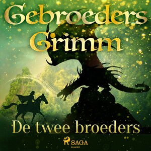 De twee broeders - luisterboek