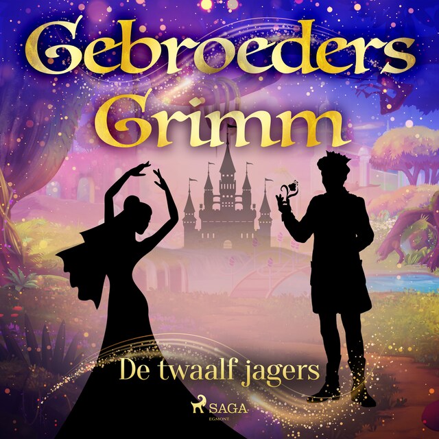 Book cover for De twaalf jagers