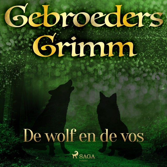 Book cover for De wolf en de vos