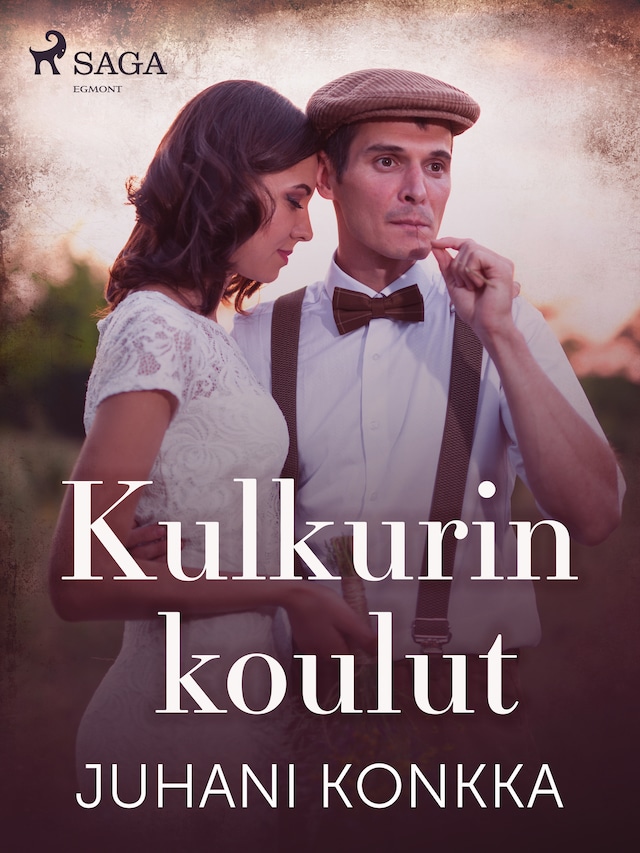 Book cover for Kulkurin koulut