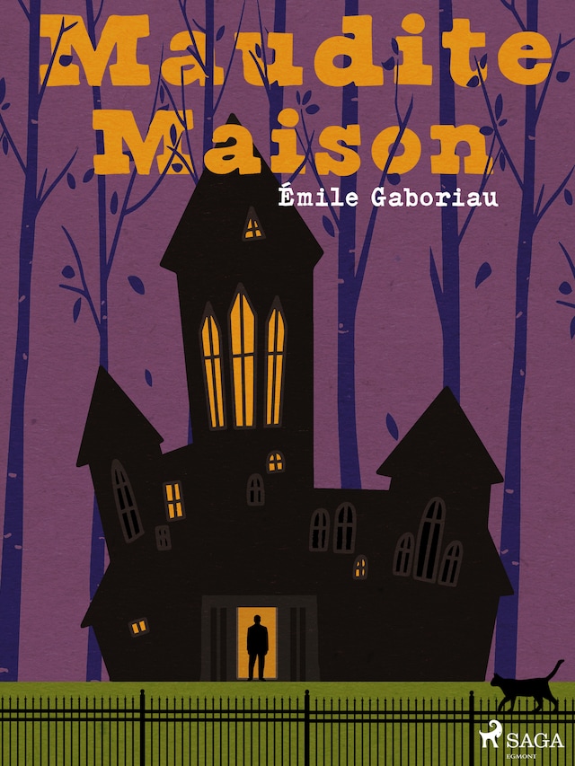 Book cover for Maudite Maison
