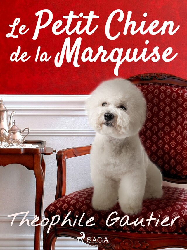Book cover for Le Petit Chien de la Marquise