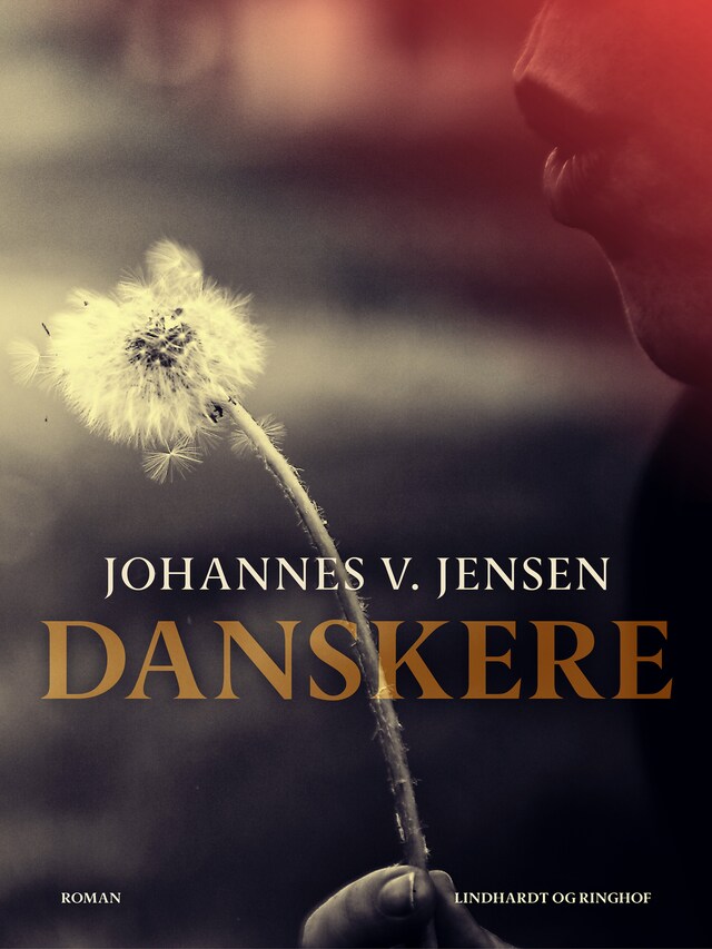 Couverture de livre pour Danskere