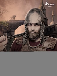 De vernuftige jonkheer Don Quijote van de Mancha