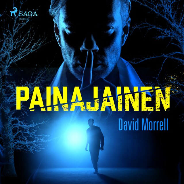 Book cover for Painajainen