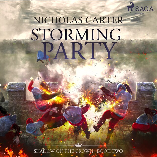 Copertina del libro per Storming Party