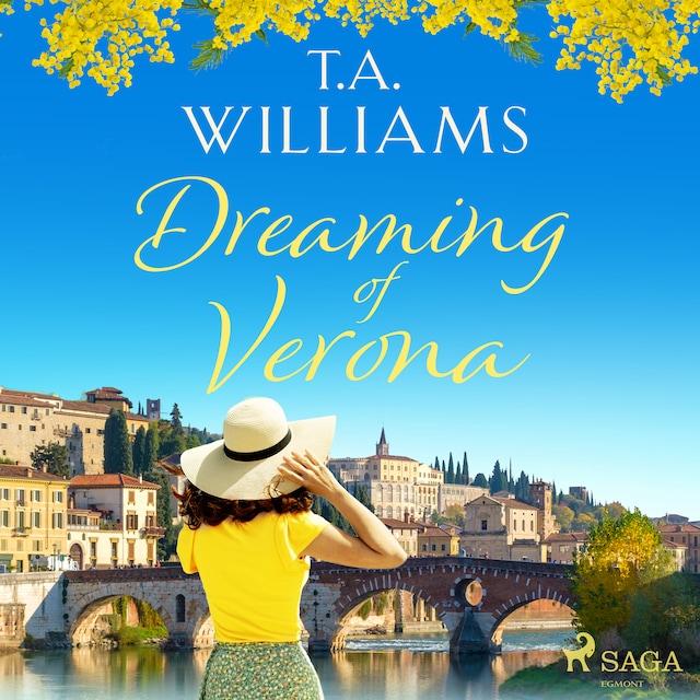 Buchcover für Dreaming of Verona