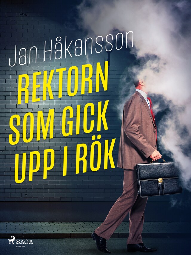 Portada de libro para Rektorn som gick upp i rök