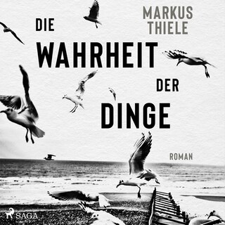Die Wahrheit der Dinge als Hörbuch