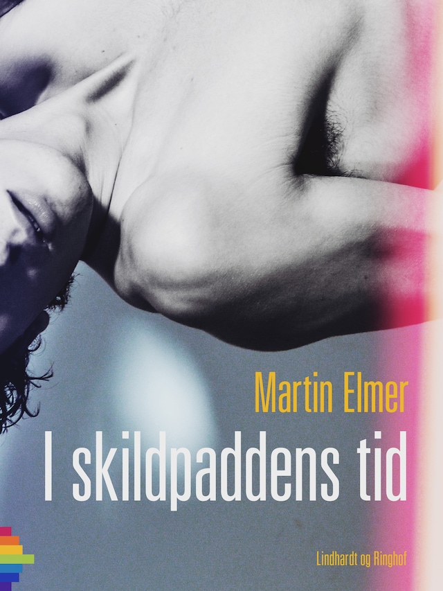 Book cover for I skildpaddens tid