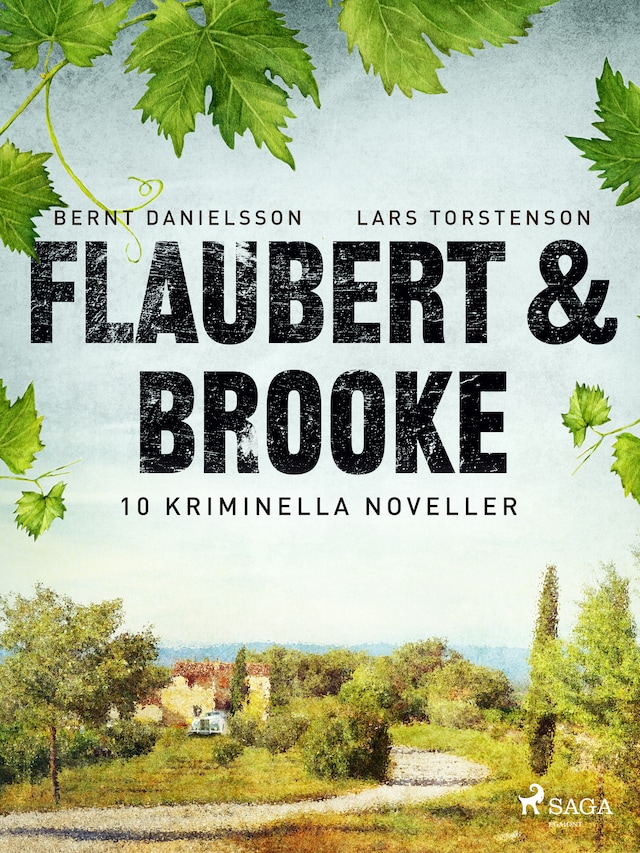 Book cover for Flaubert & Brooke