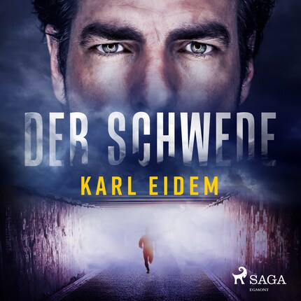 Der Schwede bookCoverFor