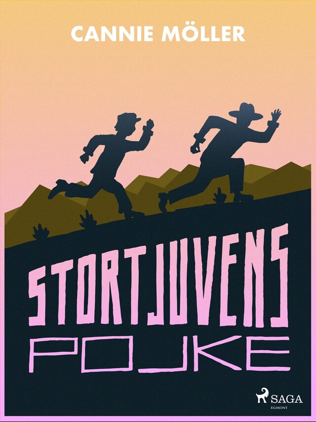 Book cover for Stortjuvens pojke