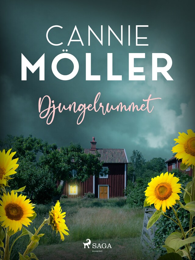 Book cover for Djungelrummet