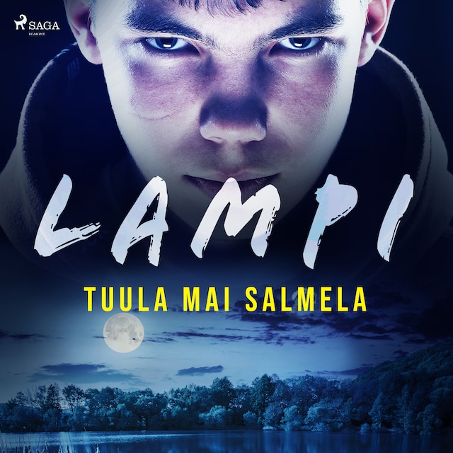 Book cover for Lampi