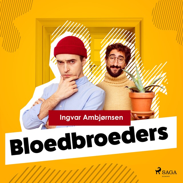 Bogomslag for Bloedbroeders