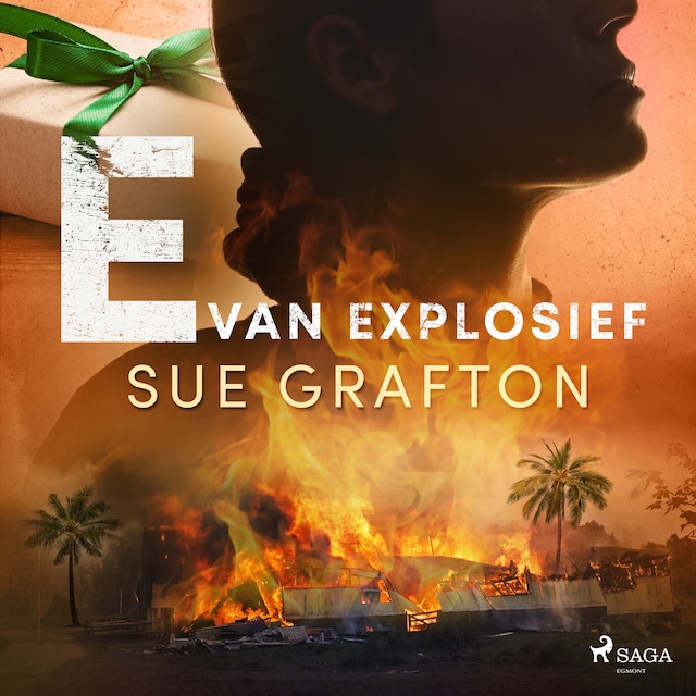 Book cover for E van explosief
