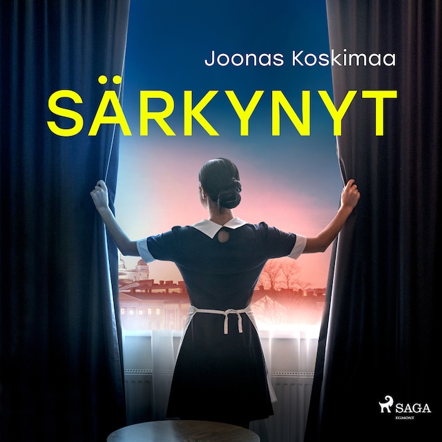Book cover for Särkynyt