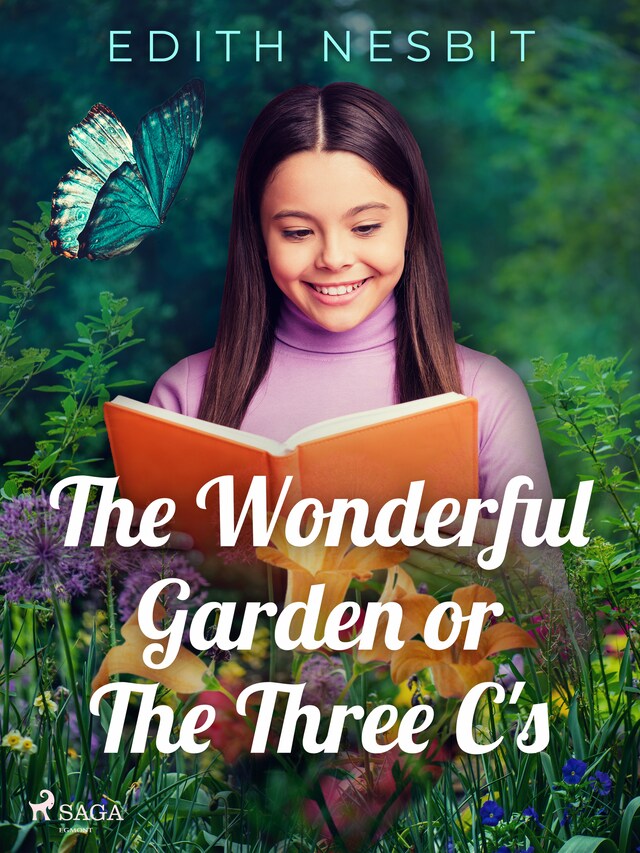 Book cover for The Wonderful Garden or The Three C's