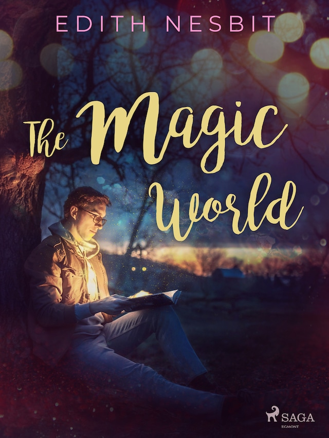 Bogomslag for The Magic World