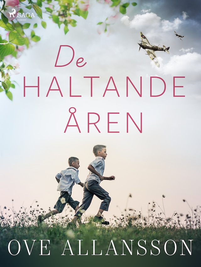 Bogomslag for De haltande åren