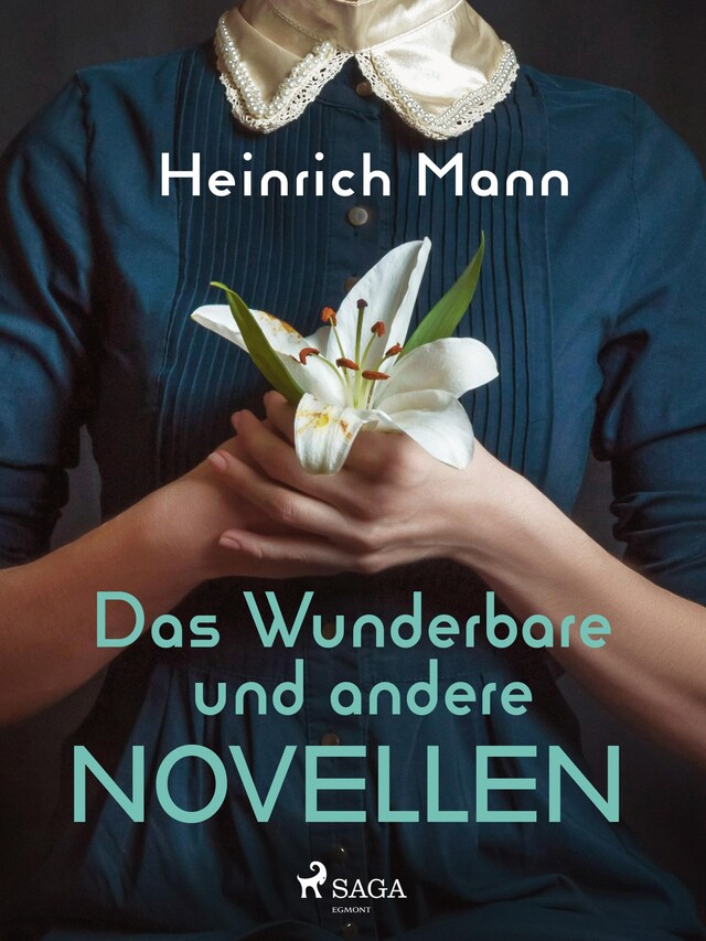 Buchcover für Das Wunderbare und andere Novellen