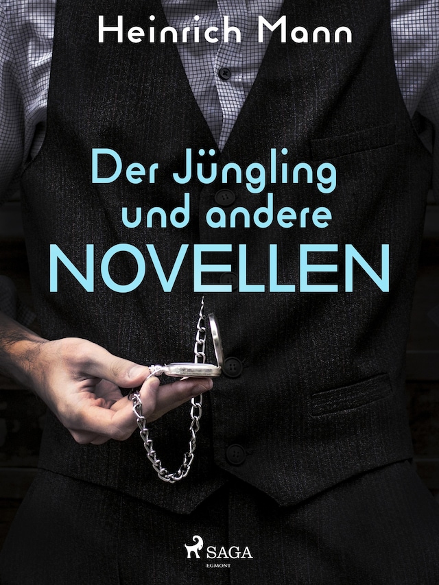 Book cover for Der Jüngling und andere Novellen