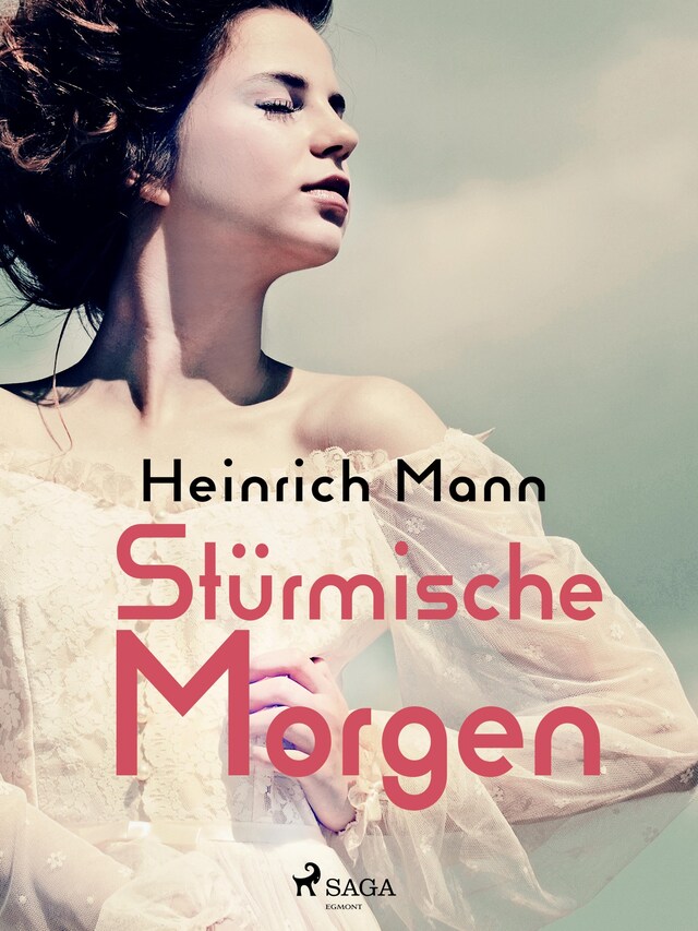 Book cover for Stürmische Morgen