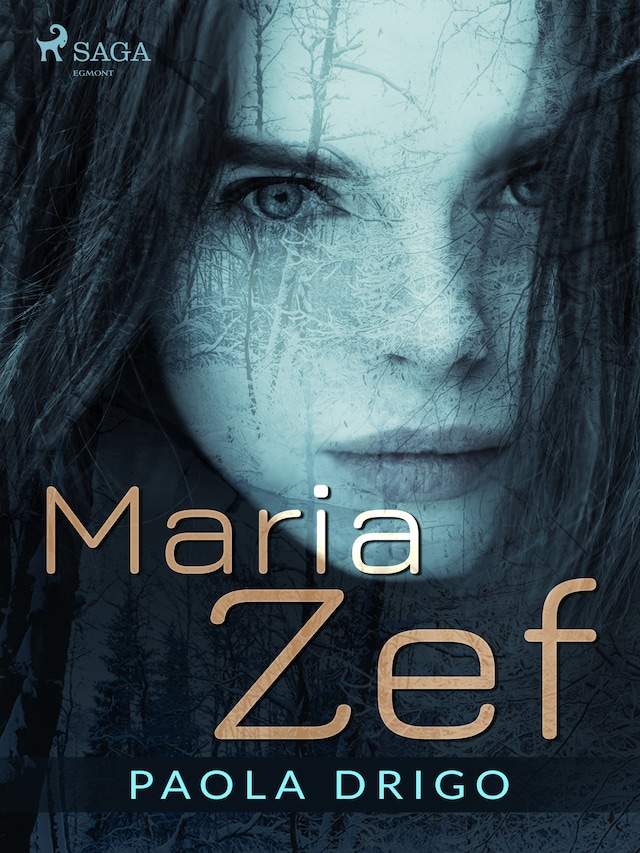 Buchcover für Maria Zef