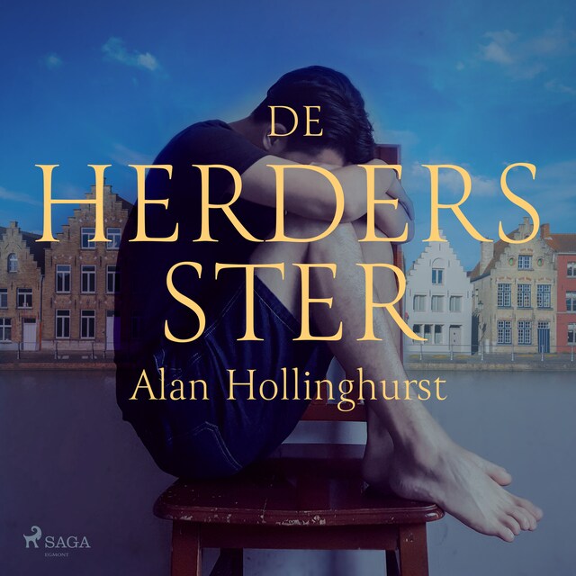 Book cover for De herdersster