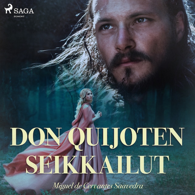 Book cover for Don Quijoten seikkailut