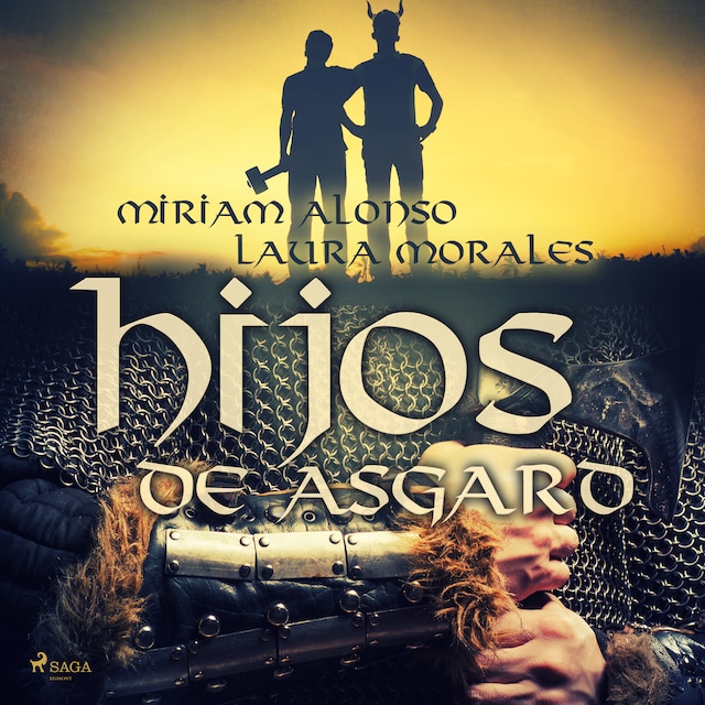 Buchcover für Hijos de Asgard