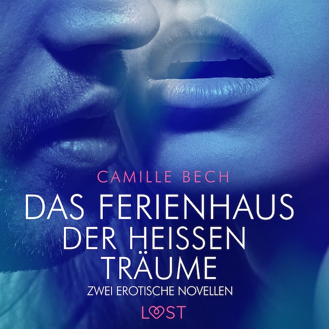 Book cover for Das Ferienhaus der heißen Träume – zwei erotische Novellen