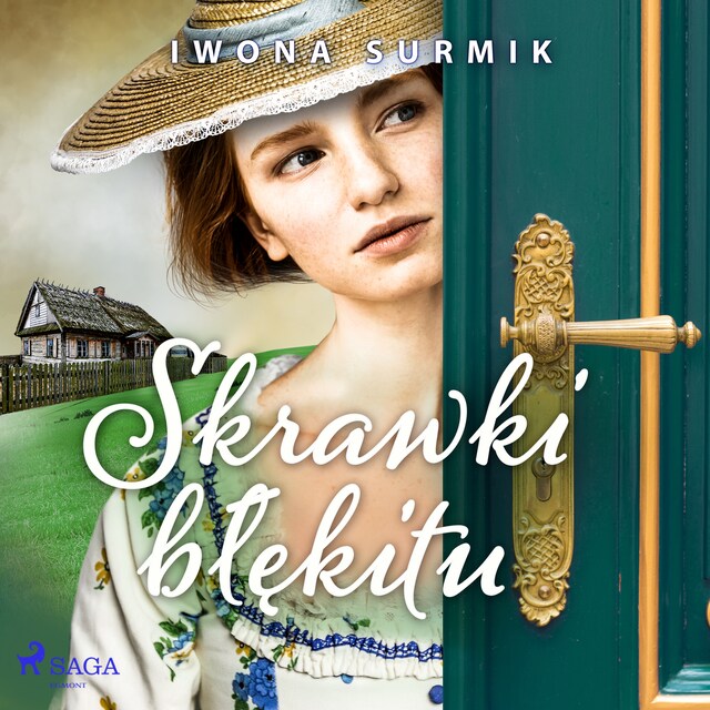 Book cover for Skrawki błękitu