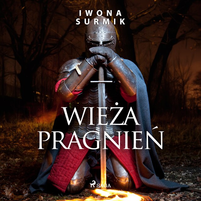 Book cover for Wieża pragnień