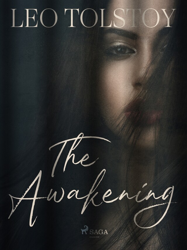 Book cover for The Awakening