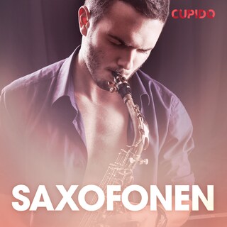 Saxofonen – erotiska noveller bookCoverFor