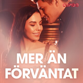 Mer än förväntat – erotiska noveller bookCoverFor
