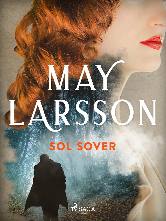 Book cover for Sol sover