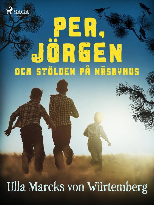 Couverture de livre pour Per, Jörgen och stölden på Näsbyhus