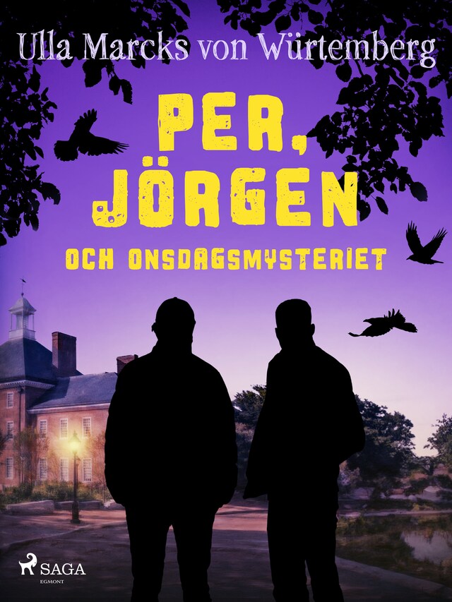 Book cover for Per, Jörgen och onsdagsmysteriet