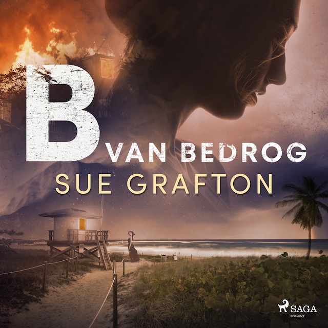 Book cover for B van bedrog