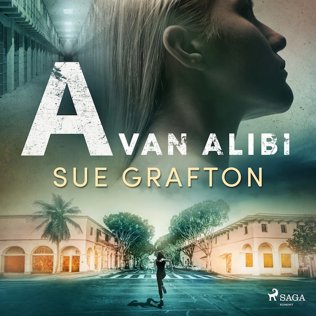 Book cover for A van alibi