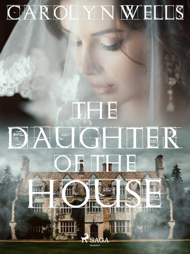 Couverture de livre pour The Daughter of the House