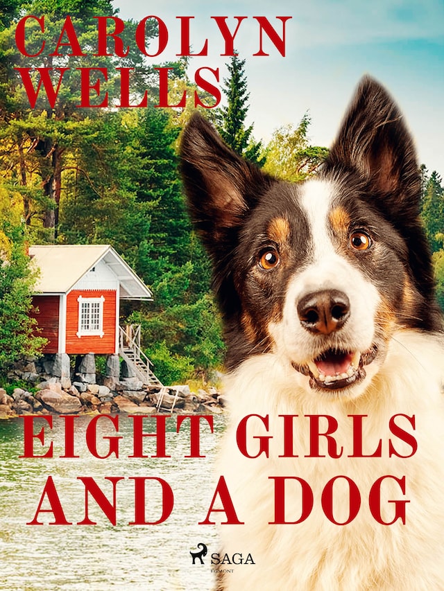 Kirjankansi teokselle Eight Girls and a Dog