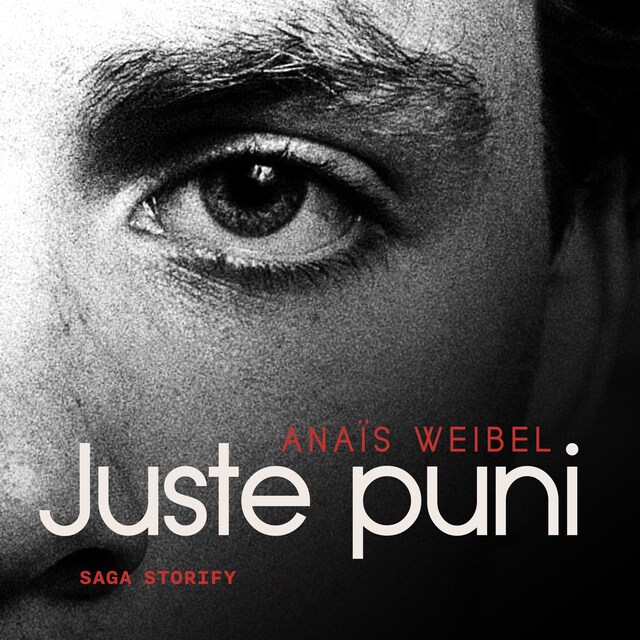 Book cover for Juste puni